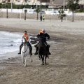 Carrera de caballos y burros