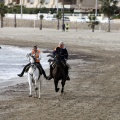 Carrera de caballos y burros