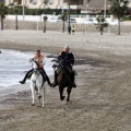 Carrera de caballos y burros