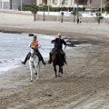 Carrera de caballos y burros