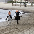 Carrera de caballos y burros