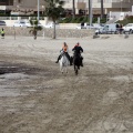 Carrera de caballos y burros