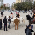 Carrera de caballos y burros