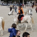 Carrera de caballos y burros