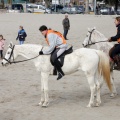 Carrera de caballos y burros