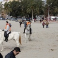 Carrera de caballos y burros