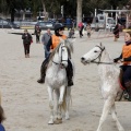 Carrera de caballos y burros