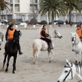 Carrera de caballos y burros