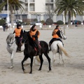 Carrera de caballos y burros