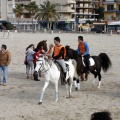 Carrera de caballos y burros