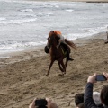 Carrera de caballos y burros