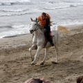 Carrera de caballos y burros