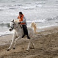 Carrera de caballos y burros