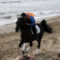 Carrera de caballos y burros