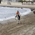 Carrera de caballos y burros