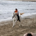 Carrera de caballos y burros