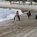 Carrera de caballos y burros