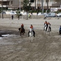 Carrera de caballos y burros