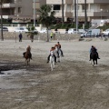 Carrera de caballos y burros