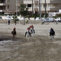 Carrera de caballos y burros