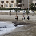 Carrera de caballos y burros