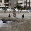 Carrera de caballos y burros