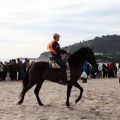 Carrera de caballos y burros