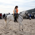 Carrera de caballos y burros