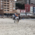 Carrera de caballos y burros