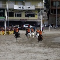 Carrera de caballos y burros