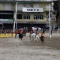 Carrera de caballos y burros