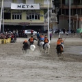 Carrera de caballos y burros