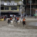 Carrera de caballos y burros