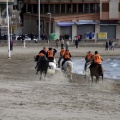 Carrera de caballos y burros