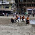 Carrera de caballos y burros