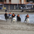 Carrera de caballos y burros