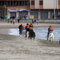 Carrera de caballos y burros