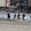 Carrera de caballos y burros