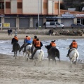 Carrera de caballos y burros