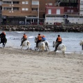 Carrera de caballos y burros