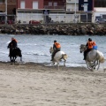 Carrera de caballos y burros