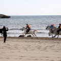 Carrera de caballos y burros