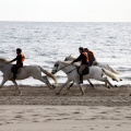 Carrera de caballos y burros