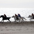 Carrera de caballos y burros