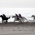 Carrera de caballos y burros