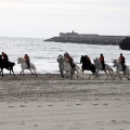 Carrera de caballos y burros