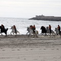 Carrera de caballos y burros