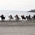 Carrera de caballos y burros