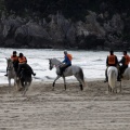 Carrera de caballos y burros