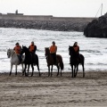 Carrera de caballos y burros